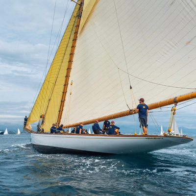 starkwind@mastodontech.de