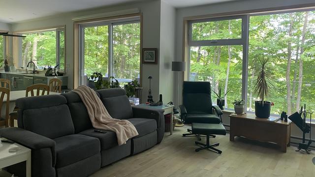 Le salon et une partie de la cuisine d'une maison écologique qui possède de grandes fenêtres avec vue sur des arbres.