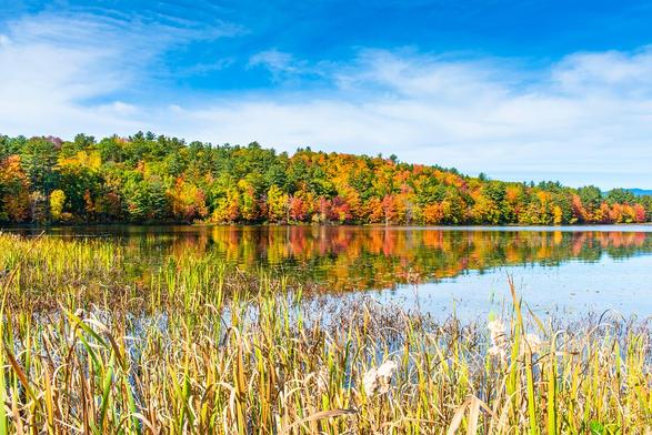 Pollution, fusion microbes, unknown rivers, risks for old ones: 4 key climatic problems