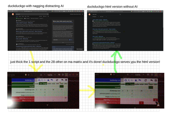 duckduckgo_HowTo_PurgeAI