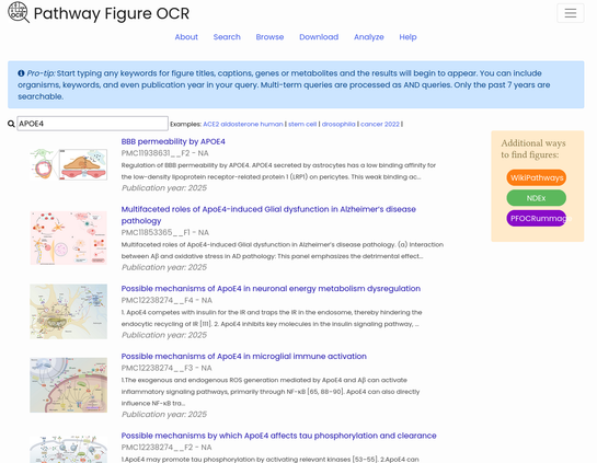 Screenshot of the linked PFOCR website's search results for APOE4, showing 4 (and a half) results, each one with a thumbnail of the pathway on the left, the title of the article, publication year, and a short description.