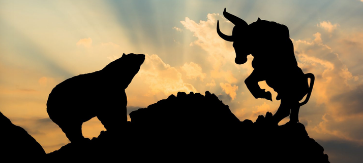 bear-and-bull-crop