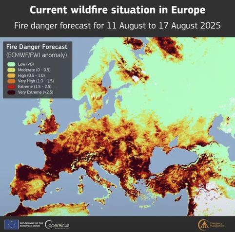 Map showing wildfire dangers in Europe 11-17 August 2025, with light green as no danger, dark red as highest. Large parts, especially in northern Spain and France, in darkest colours, highest danger, with significant parts, as we know, already burning now; but really all of Europe, with exception of northern UK, scandinavia and Russia all orange/ red/dark red
