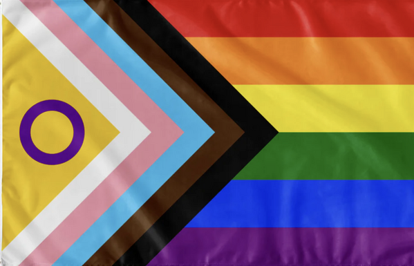 Pride/Progress-Flag