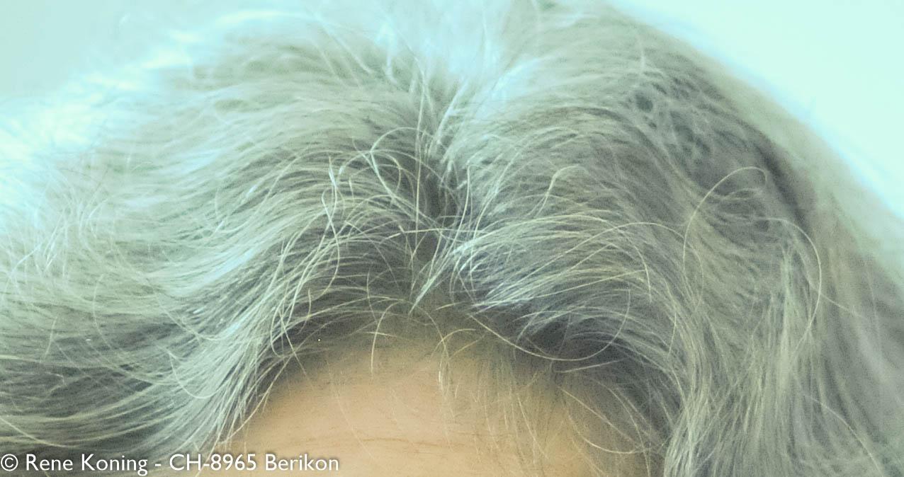 Melierte Haare in Grau und Dunkeltöne Melierte Haare in Grau und Dunkeltöne