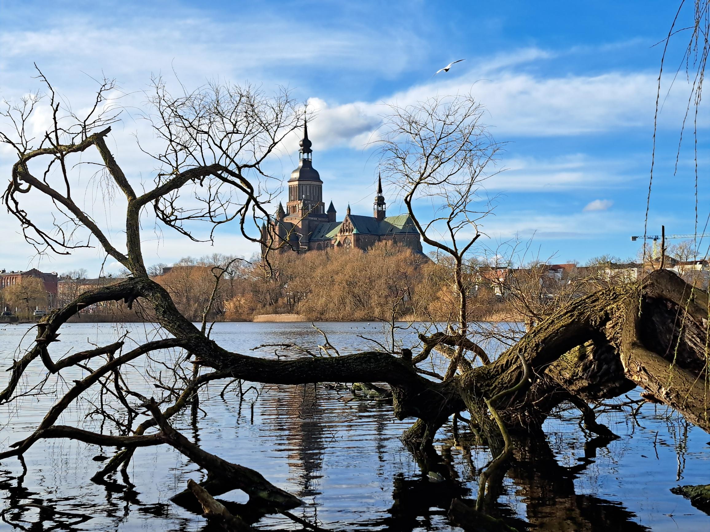 Ein großer blattloser Ast eines alten Baums liegt in einem blauen kleinen See. Das Ufer gegenüber ist von kleinen blattlosen Bäumen gesäumt.
Dahinter ist eine große Kirche mit einem Hauptturm und mehreren kleinen Türmen zu sehen. Das Dach ist mit Kupfer eingedeckt und ist bis auf den Hauptturm grün. Bei dem ist die Eindeckung neuer und noch braun.
Lockere hohe Wolken am ansonsten blauen Himmel zu sehen.
Am oberen Rand segelt eine Möwe vom Betrachter weg.
Kirche und Himmel spiegeln sich im teils wellligen See.